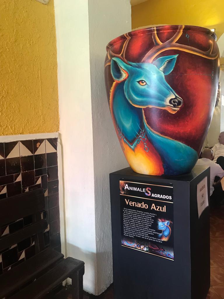 Bar Pollos