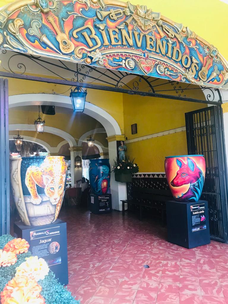 Bar Rigo´s