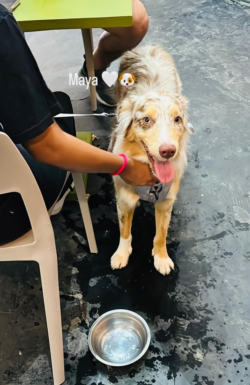 119