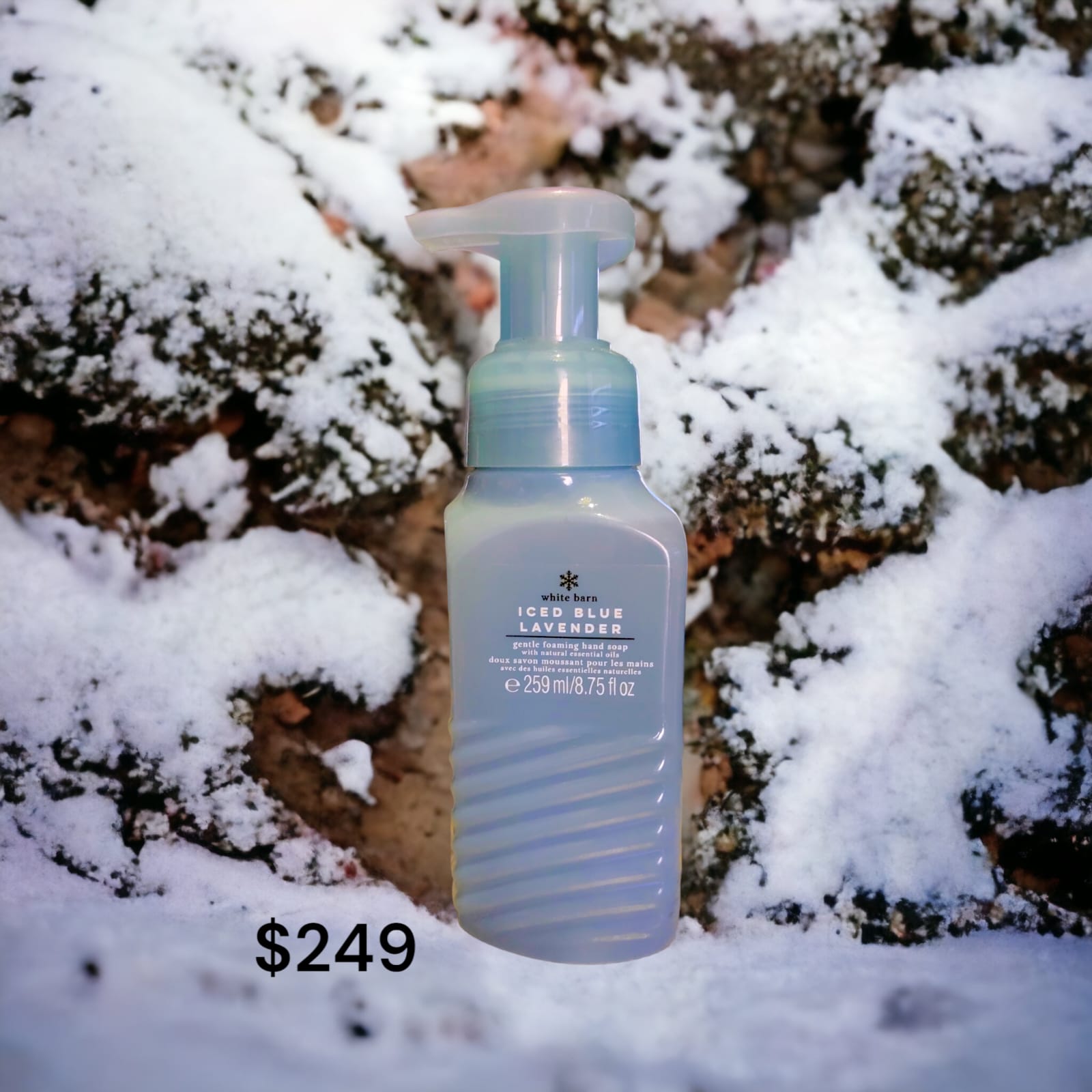 Iced Blue Lavender