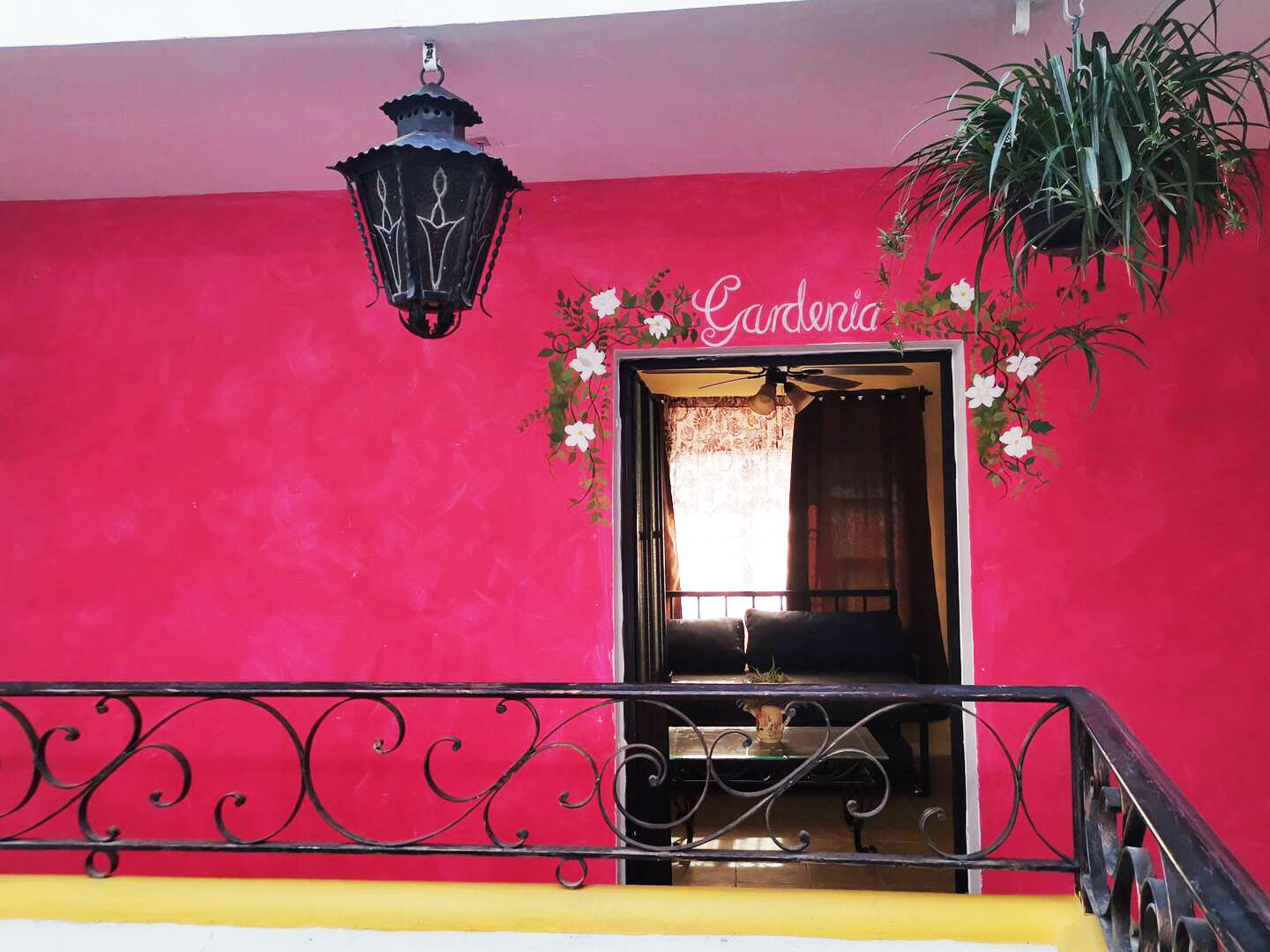 Gardenia 9