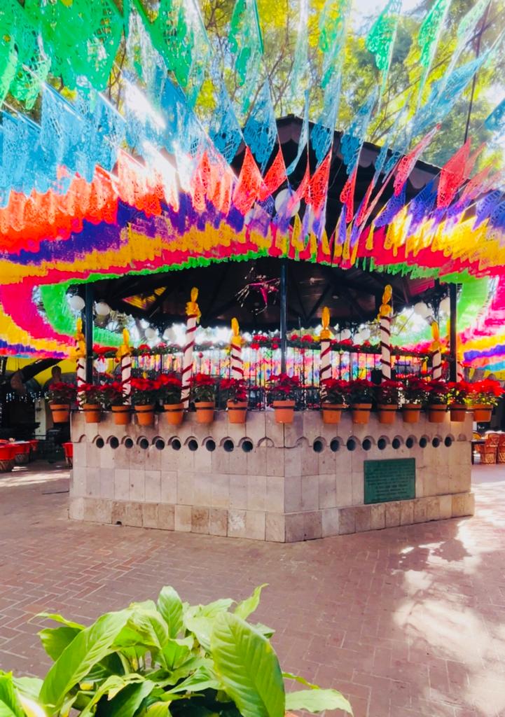 Bar Cozumel